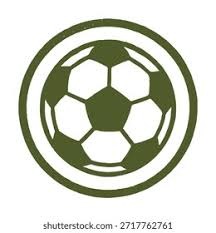 新疆队调整外援使用策略